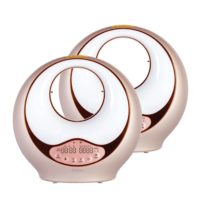A9 Smart Anion Bama Air Purifier – Breathe the Freshness of Nature Indoors